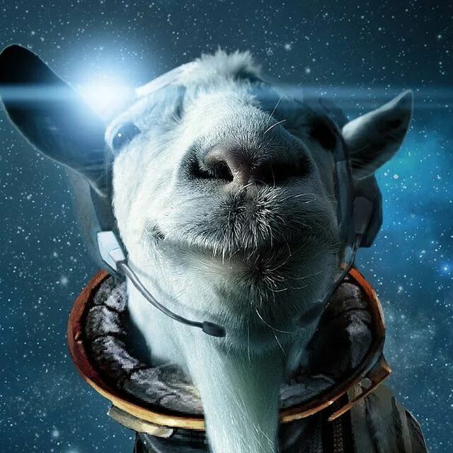 Goat Simulator. Симулятор козла космос. Goat Simulator 2. Кофты симулятор козла. Goat simulator space