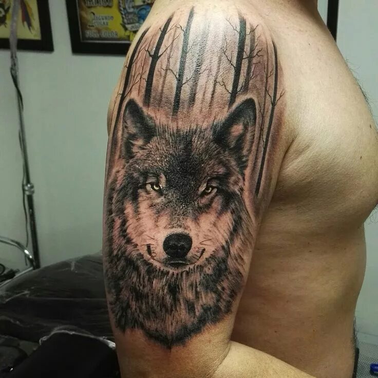 A imagem pode conter: uma ou mais pessoas Wolf tattoo sleeve, Wolf tattoo design