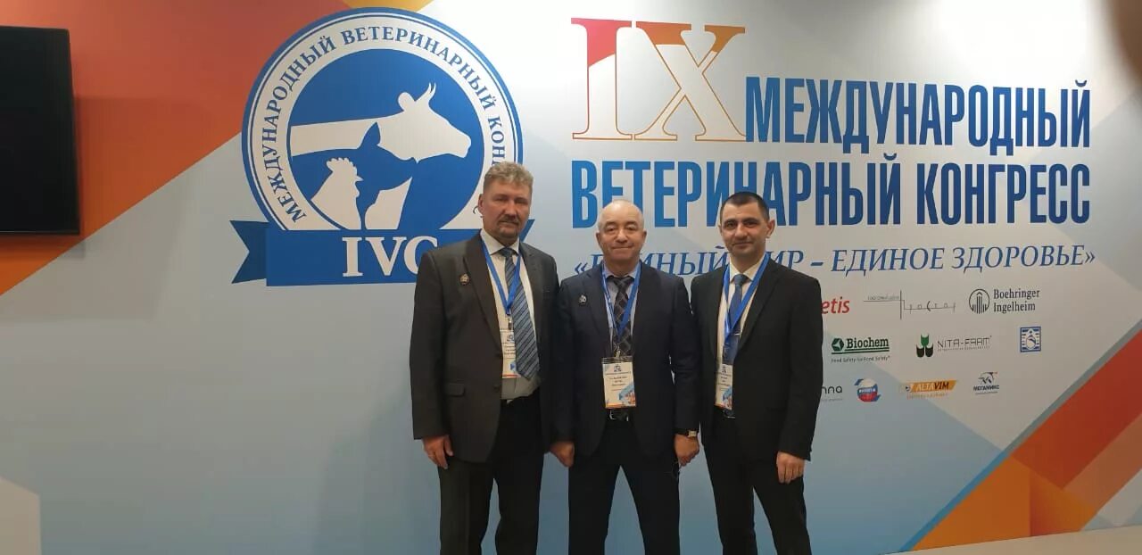 иркутская городская станция по борьбе с болезнями животных иркутск. ветеринарная служба иркутской области. руководителя службы ветеринарии иркутской области. коллегия и научно консультативная совет прокуратура рф схема. шевченко с.