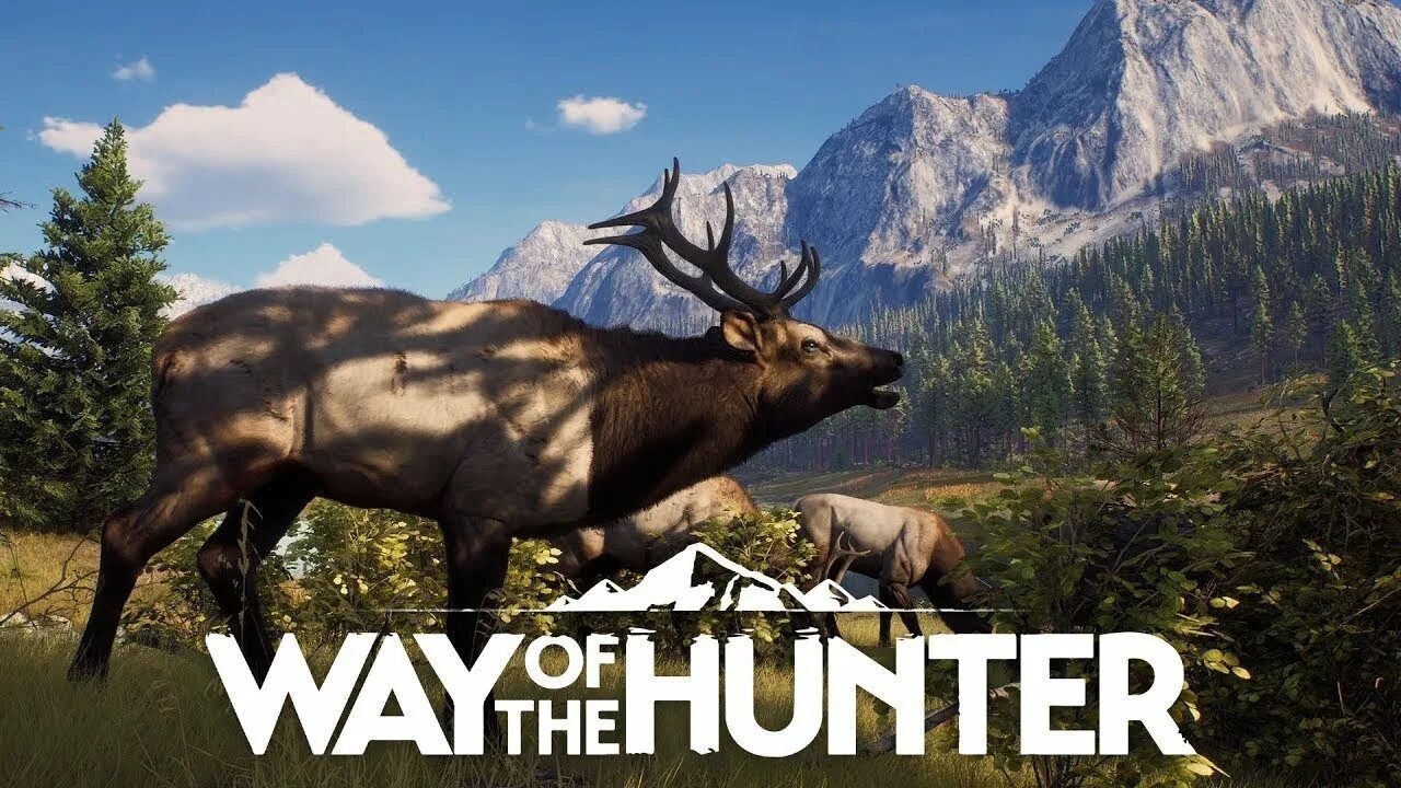 Way of the hunter купить. Way of the Hunter. Way of the Hunter игра. Симулятор охоты 2022. Way of the Hunter животные.