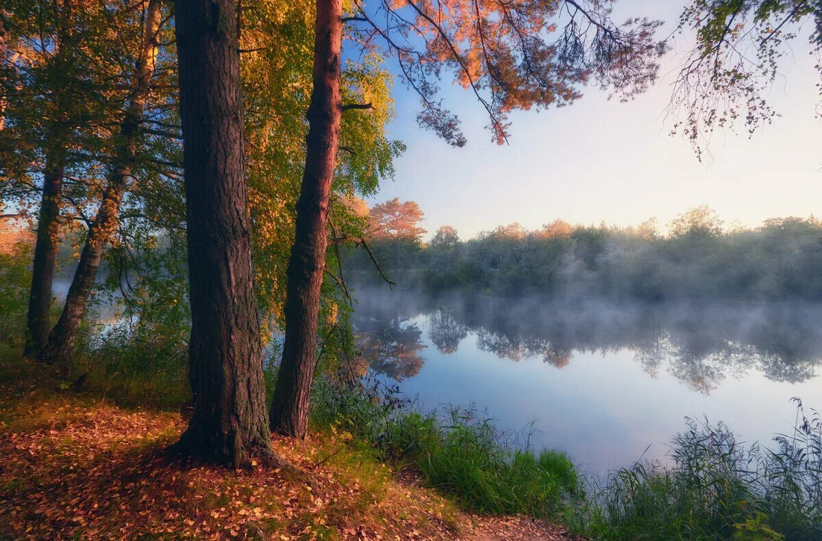 Бережок реки. Осень картинки. Природа Владимирской области. Бережок речушки. Река Киржач.
