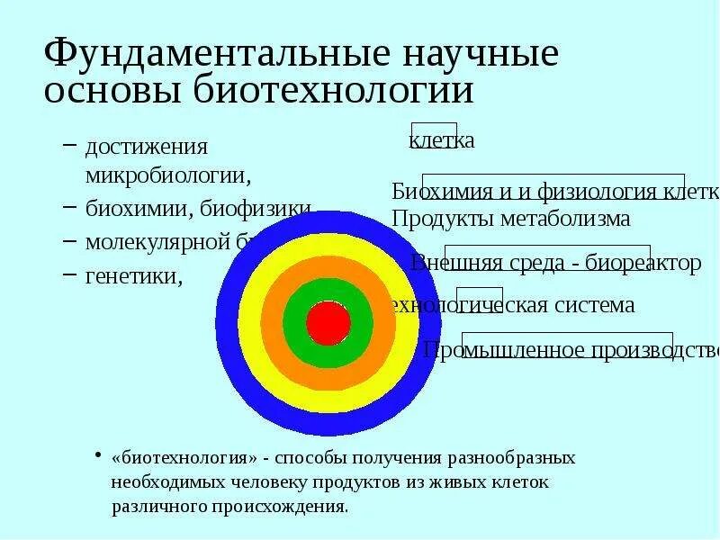 Биотехнология учебник. Научные основы биотехнологии. Основы молекулярной биотехнологии. Основы биотехнологии учебник. Основание биотехнологии.