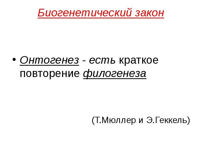 Онтогенез есть повторение филогенеза. Онтогенез есть краткое повторение филогенеза. Закон биогенетический закон. Биогенетический закон Геккеля Мюллера. Биогенетический закон презентация 11 класс.