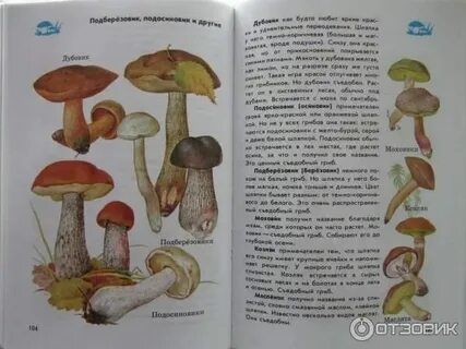 Атлас определить 2 класс окружающий мир