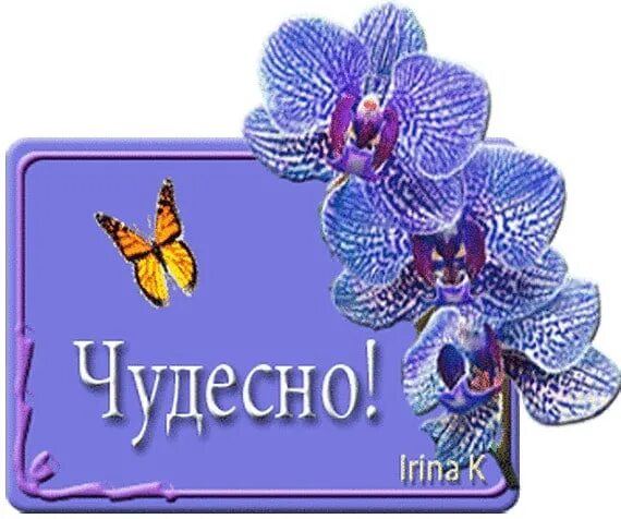 Чудесно. Чудесно надпись. Надписи чудесная работа. Гиф великолепно. Гифы замечательно.