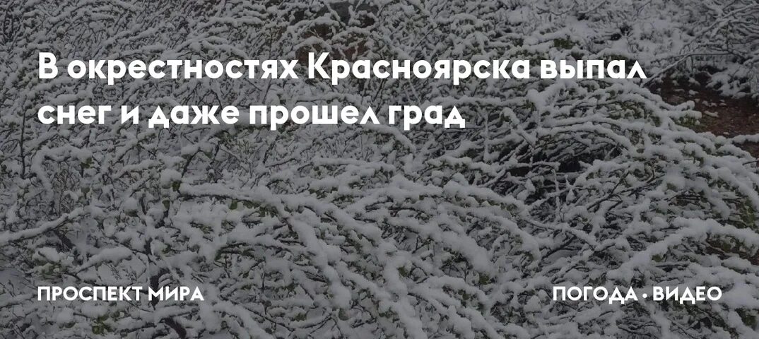Снег в красноярске вчера. Снег фото. Где в красноярске выпал снег. Где в красноярске выпал снег. Пермь засыпало снегом в апреле.