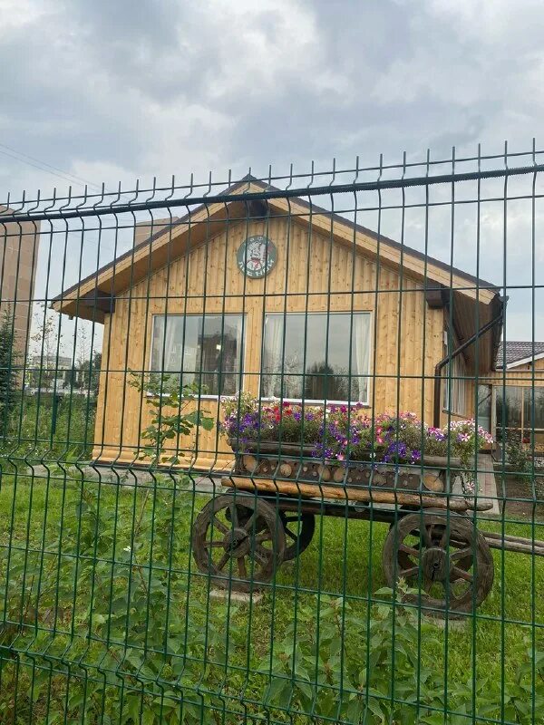 мамайка рестораны. кафе березка курганская 9а. лепс в ресторане lesnoy. ресторан лесной измайловский парк. кафе березка в гольяново.