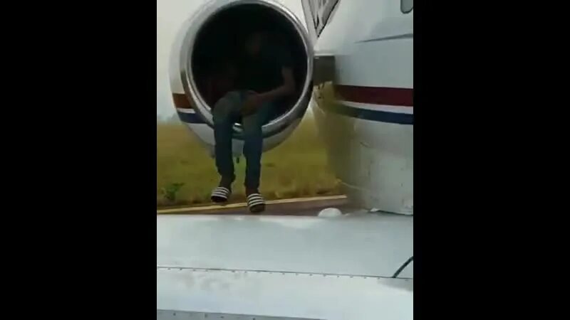Человека засосало в самолет. Засосало в турбину самолета. Заяц на самолете. Человека засосало в турбину. Мужчину засосало в самолет.