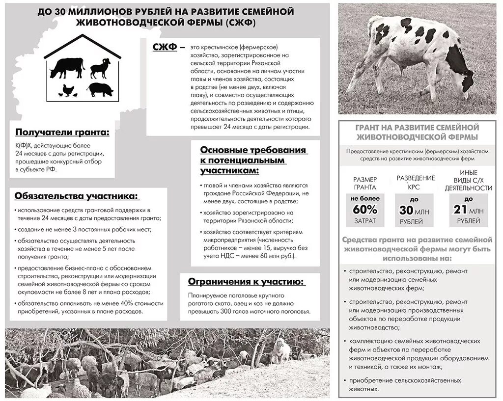 Субсидии на личное подсобное хозяйство. Как заполнить план развития личного подсобного хозяйства. Пример личного подсобного хозяйства. План развития ЛПХ. План развития личного подсобного хозяйства образец.