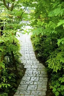 21 path