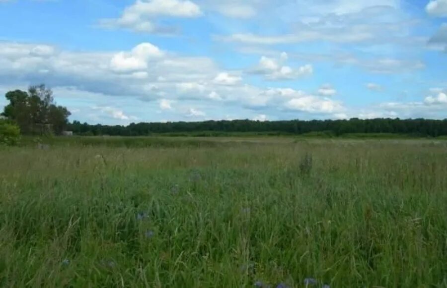 храм богородицы в тургенево тульской области. погода мартемьяново тульская область.