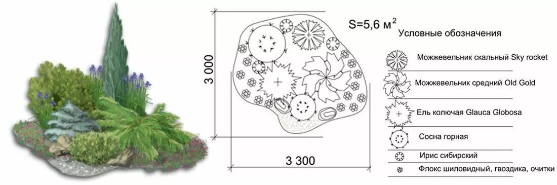 Длина цветника 20 м. Найдите площадь огорода прямоугольной формы. Длина цветника прямоугольной формы равна 20 м. Схема клумбы. Цветник многолетников непрерывного цветения.