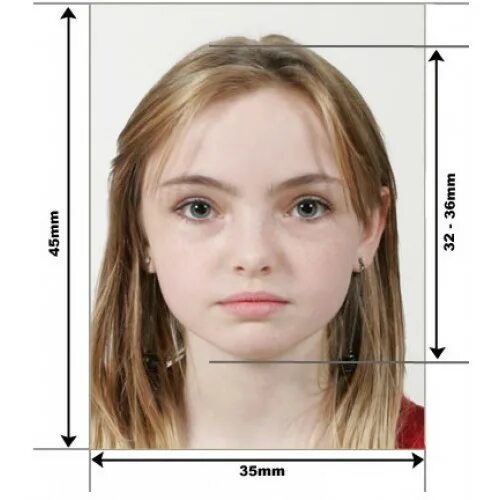 лиц в размере от десяти. лицо анфас. фото на паспорт. лиц в размере от десяти. лиц в размере от десяти.