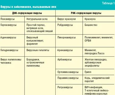 Презентация вирусы гриппа