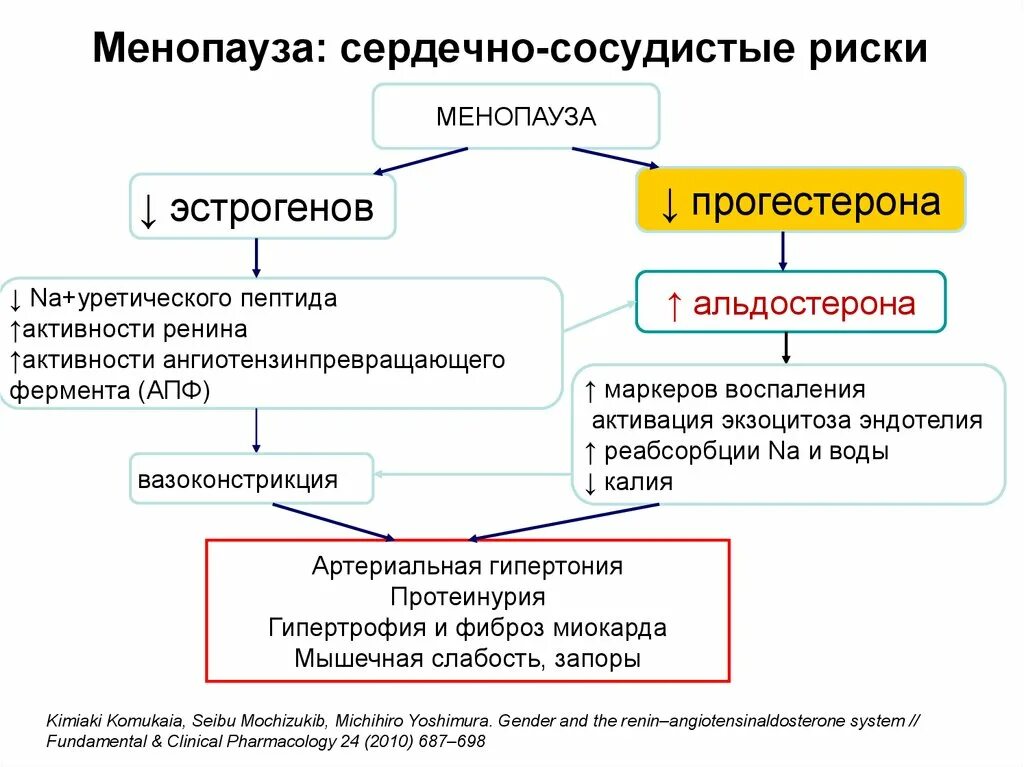 Гормоны после менопаузы. Климактерический синдром патогенез. Патогенез климакса. Этиология климакса. Климактерический период патогенез.