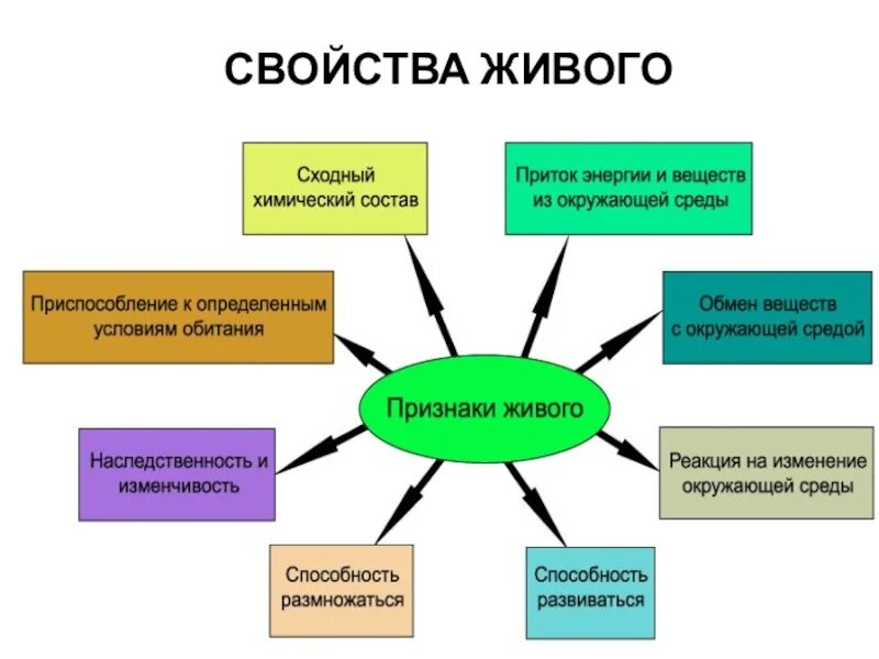Жизнь основные признаки живого. Признаки живых организмов схема. признаки живого. признаки живого в биологии. основные признаки живова.