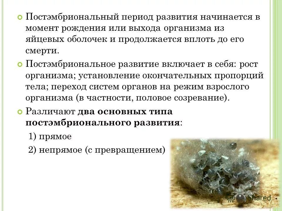 Возрастные периоды развития человека. Характеристика постэмбрионального периода. Постэмбриональный период развития насекомых. Характеристика постэмбрионального периода. Характеристика постэмбрионального периода.