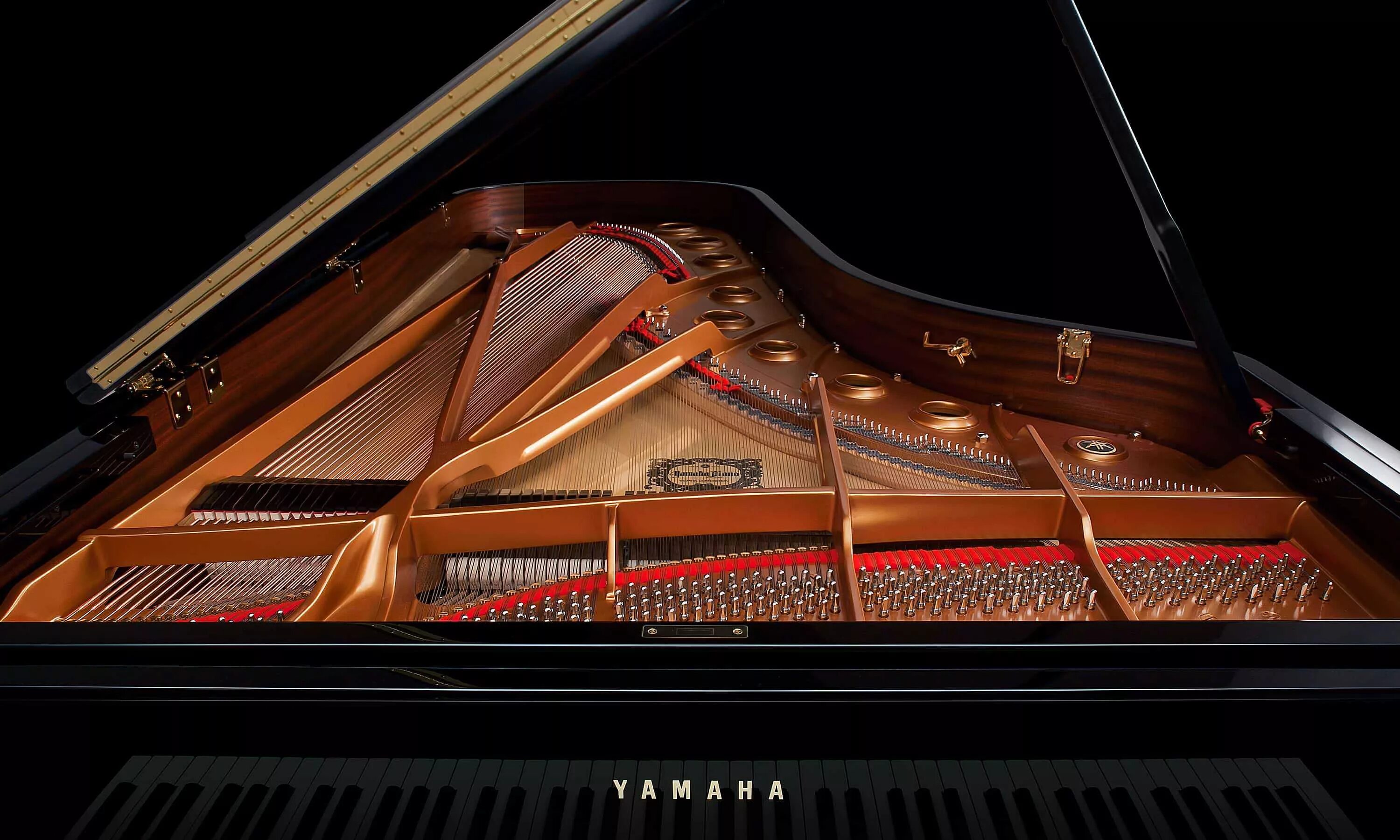 Рояль внутри. Yamaha cfx concert grand. yamaha grand piano cfx. cfx grand yamaha. рояль yamaha концертный.