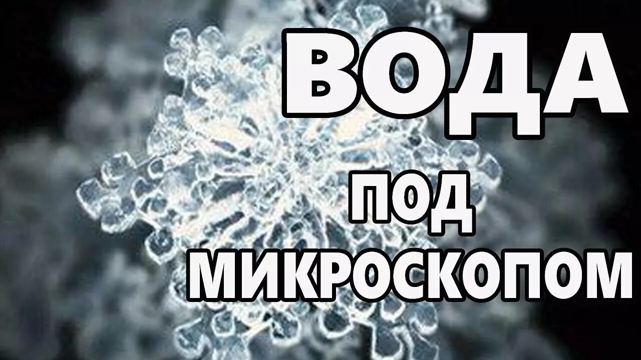 Мысли и вода под микроскопом. Структурированная вода. Воздействие музыки на воду. Влияние мыслей на воду.