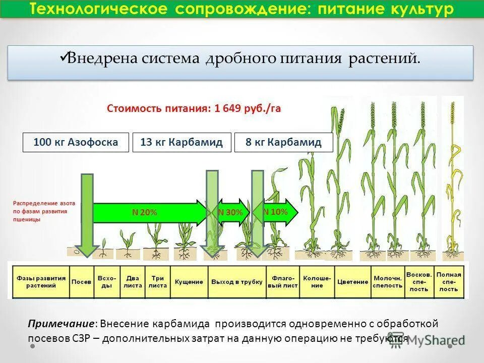 Уровень урожайности. Схема подкормки Яровой пше. Система удобрений озимой пшеницы таблица внесения. Нормы внесения Минеральных удобрений для пшеницы. Норма подкормки карбамидом озимой пшеницы.