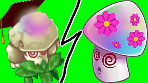 Hypno mushroom