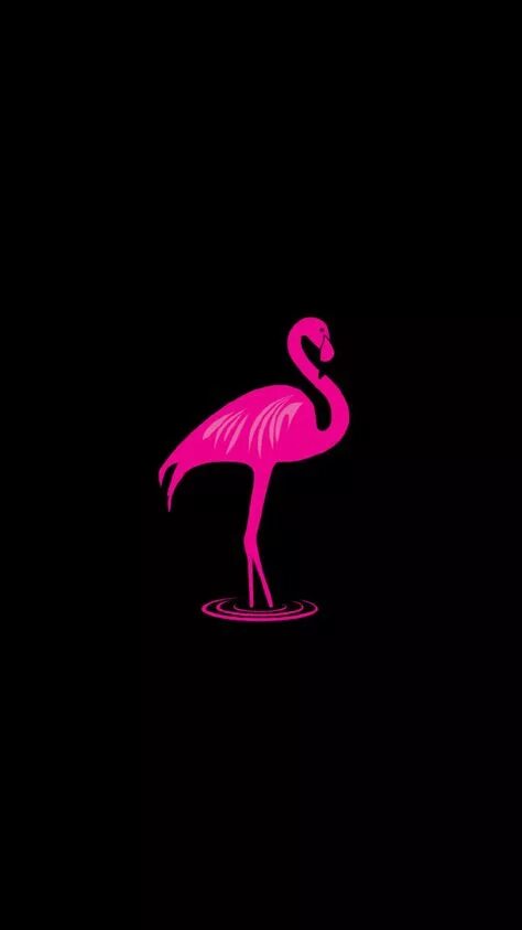 Iphone flamingo