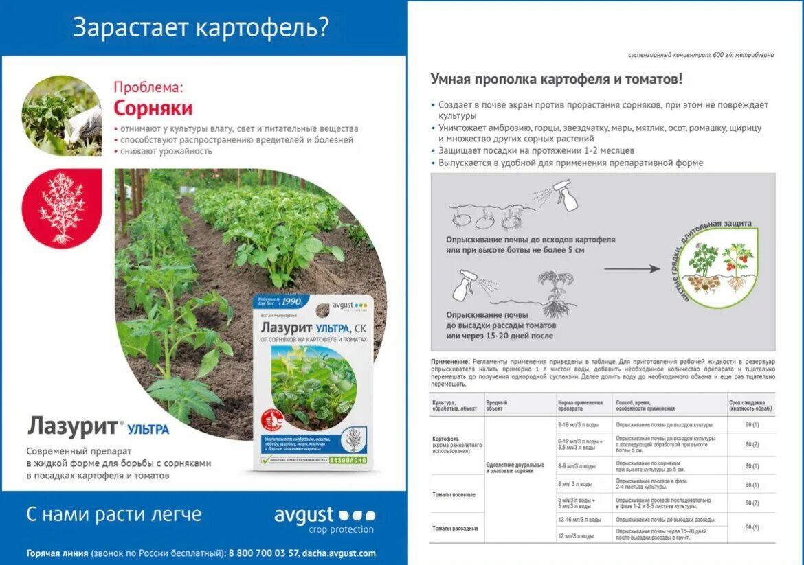 Применение лазурита от сорняков на картошке. Лазурит ультра гербицид. Гербицид avgust лазурит ультра от сорняков на картофеле и томатах 9 мл. Гербицид от сорняков на картофеле 20г лазурит.