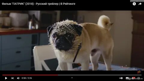 Пес патрик