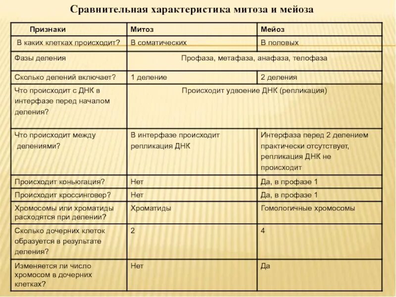 Признаки для сравнения митоза и мейоза таблица. Таблица фазы деление митоз мейоз 1 деление 2 деление. Таблица сравнение митоза и мейоза 9 класс процессы в интерфазе. Сходства и различия митоза и мейоза в таблице.