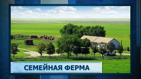 Земли кфх в собственности