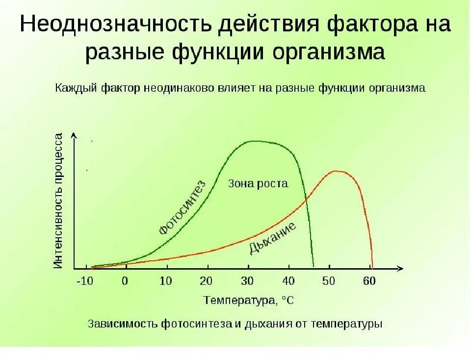 Схема влияния экологических факторов. Эвритермные растения. Интенсивность действия фактора. Интенсивность действия фактора. Факторы среды зона оптимума.
