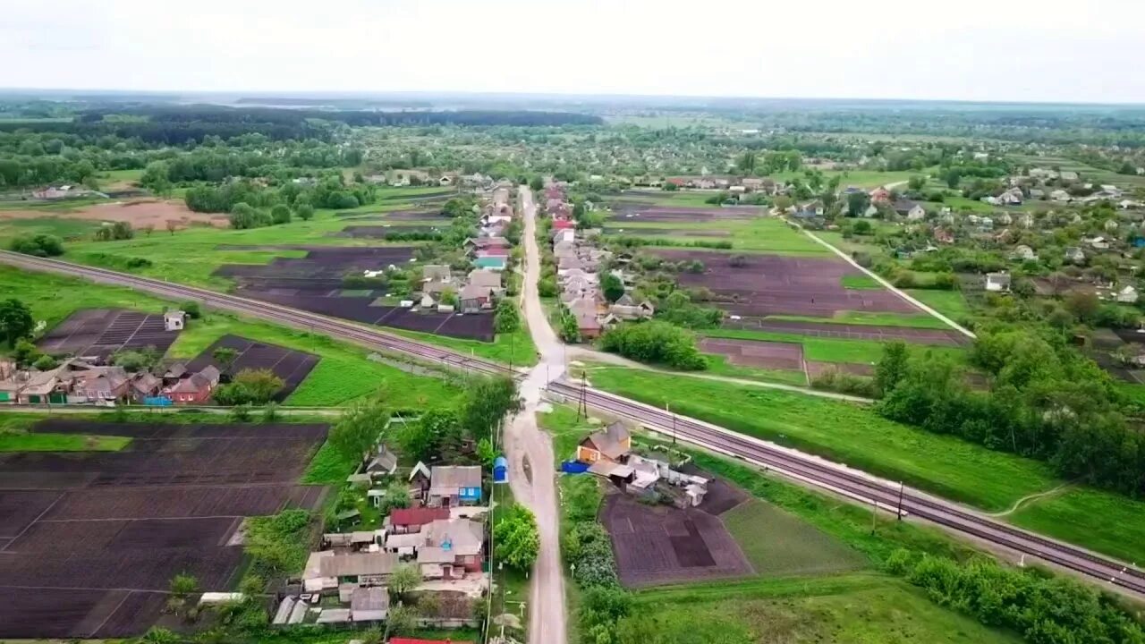 Села сум. Новоселица Украина Сумская область. Село Новоселица Сумская область. "Сумская область" село "мемориал".