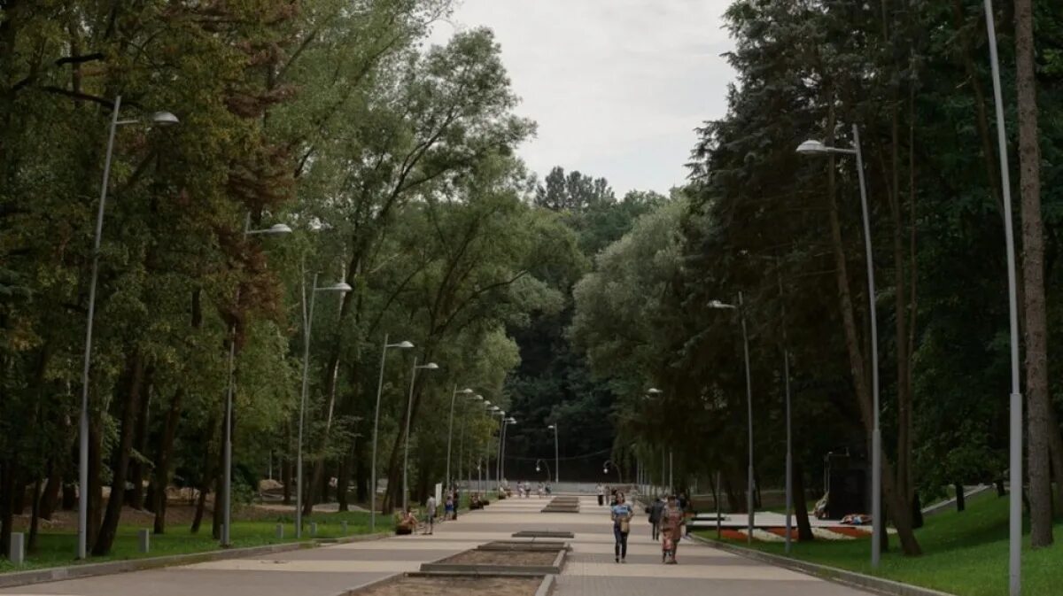 Воронежский центральный парк динамо. Парка воронеж каталог. Парка воронеж каталог. Центральный парк динамо. Воронежский центральный парк, воронеж.