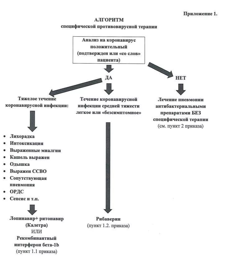 Гнойное отделяемое условия хранения. Протокол инфекции. Протокол инфекции. Протокол инфекции. Протокол инфекции.