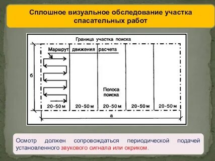 Сплошное обследование