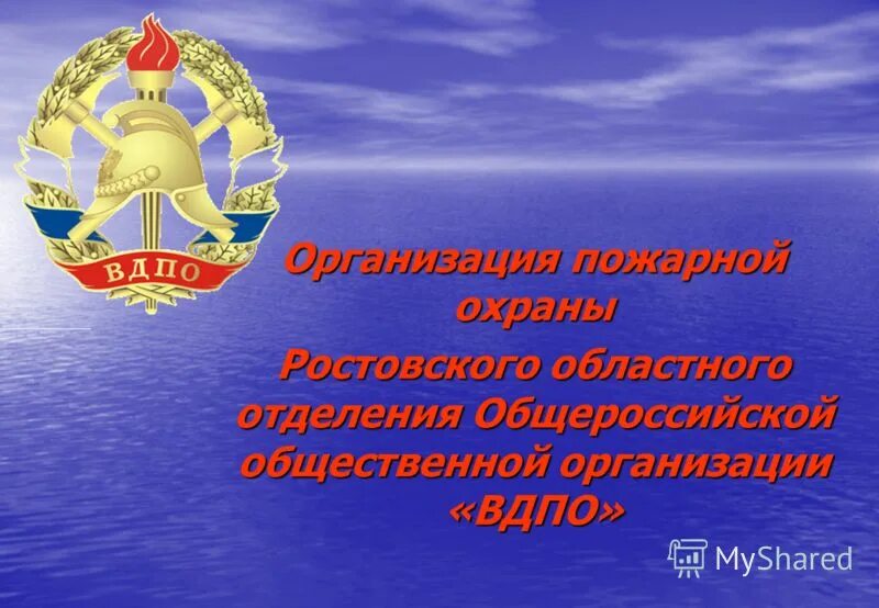 общественная пожарная организация