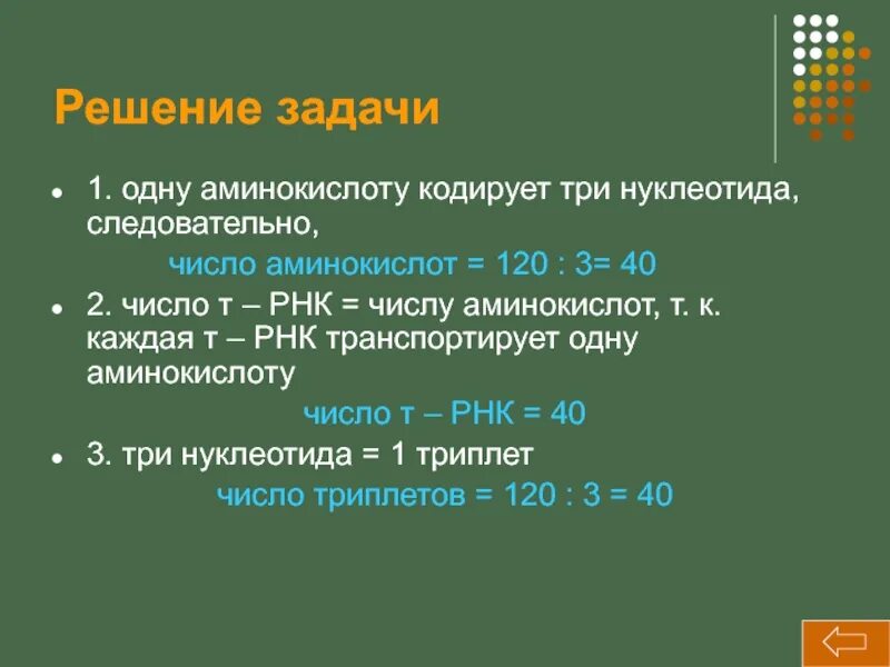 Решение задач аминокислоты. Один нуклеотид кодирует одну аминокислоту. решение задач по аминокислотам. три нуклеотида кодируют одну аминокислоту. одну аминокислоту кодирует.