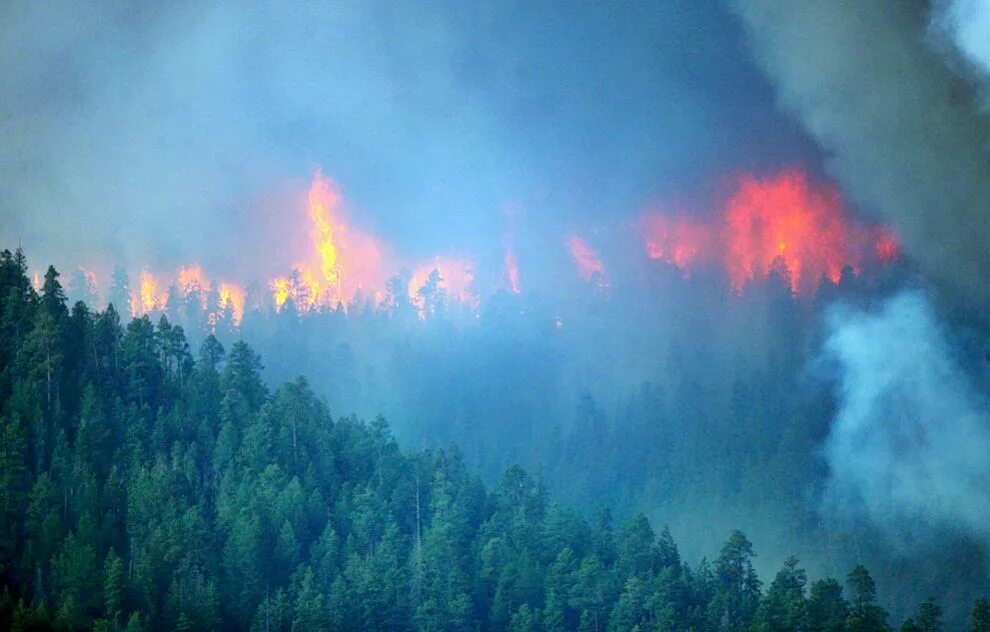 Лесные пожары 2 класс