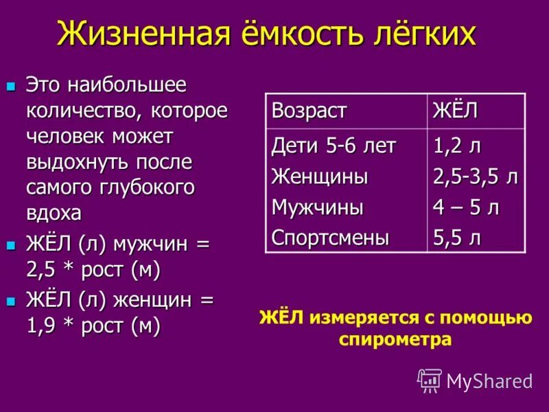 Жизненная емкость легких спортсменов