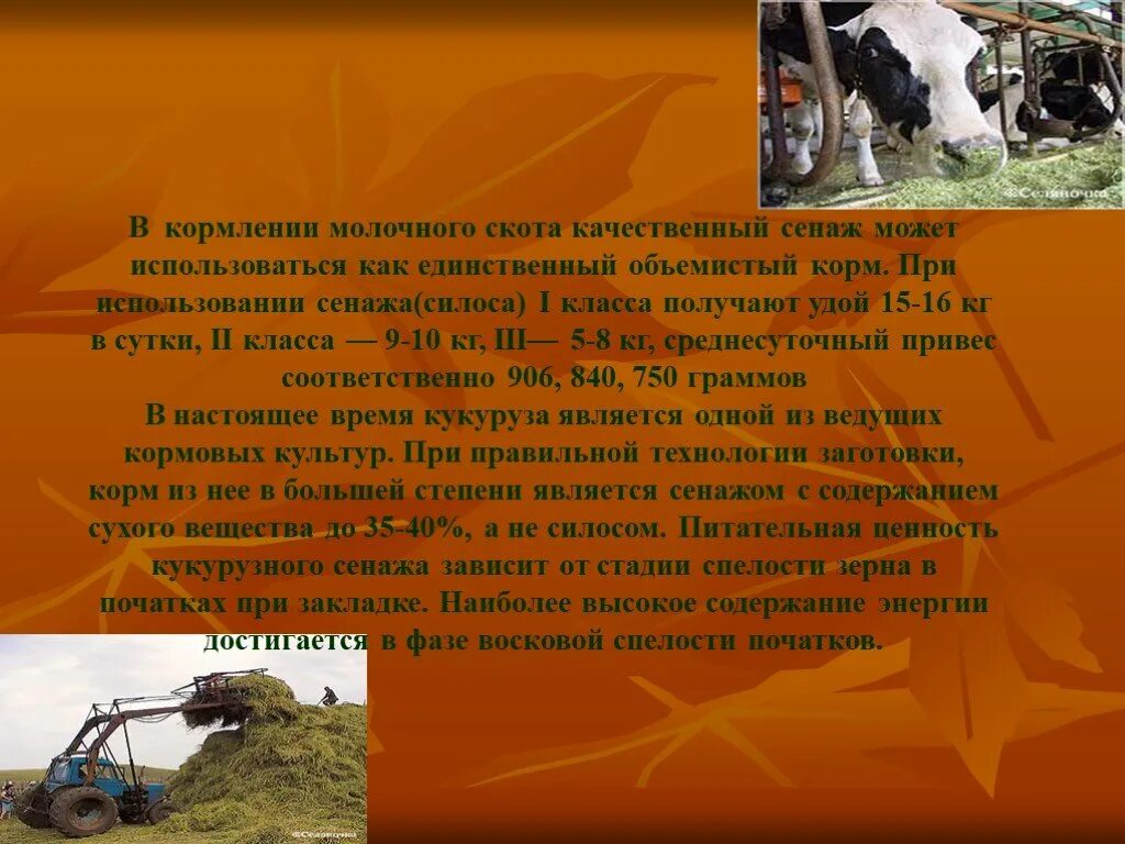 Может использоваться как основной