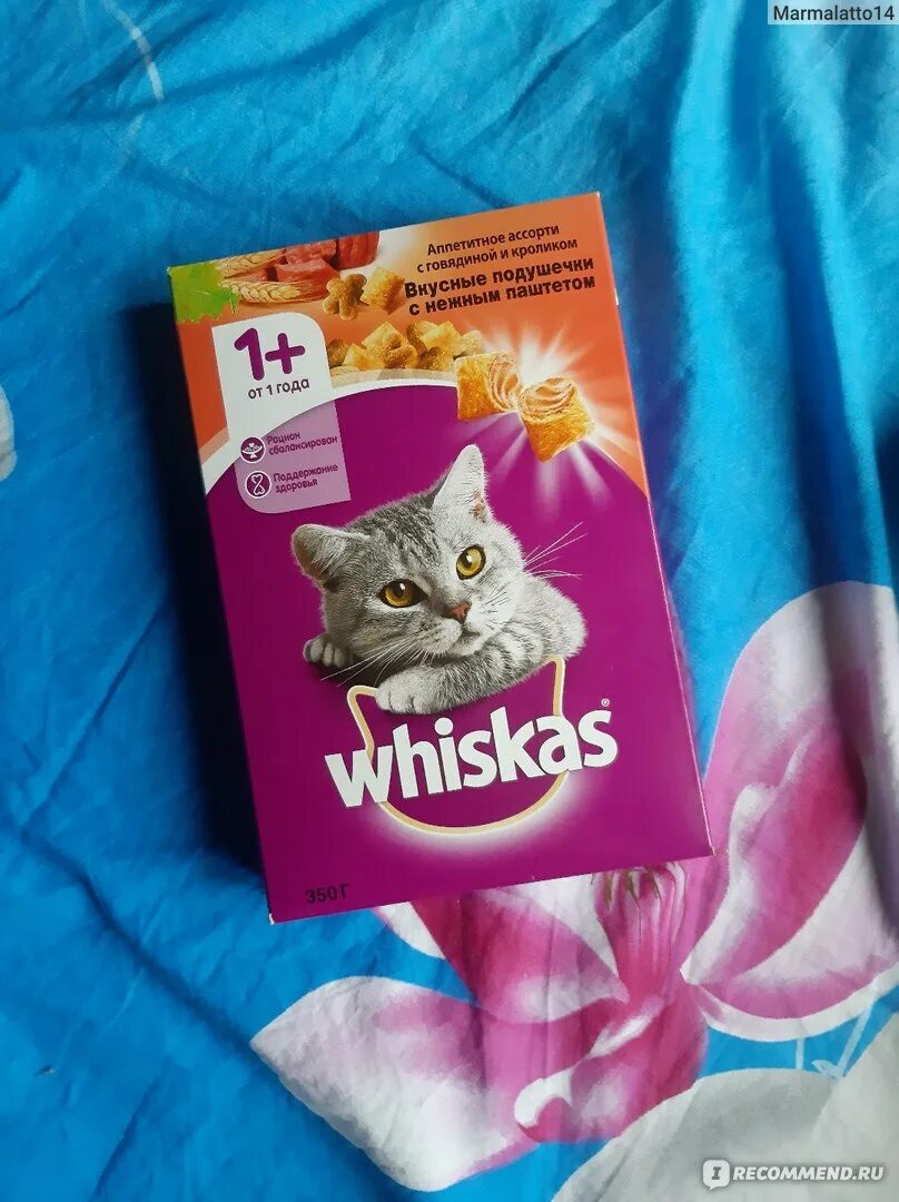 Whiskas вкусные подушечки с нежным паштетом. Вискас. whiskas реклама. whiskas звезды. whiskas реклама 2025.
