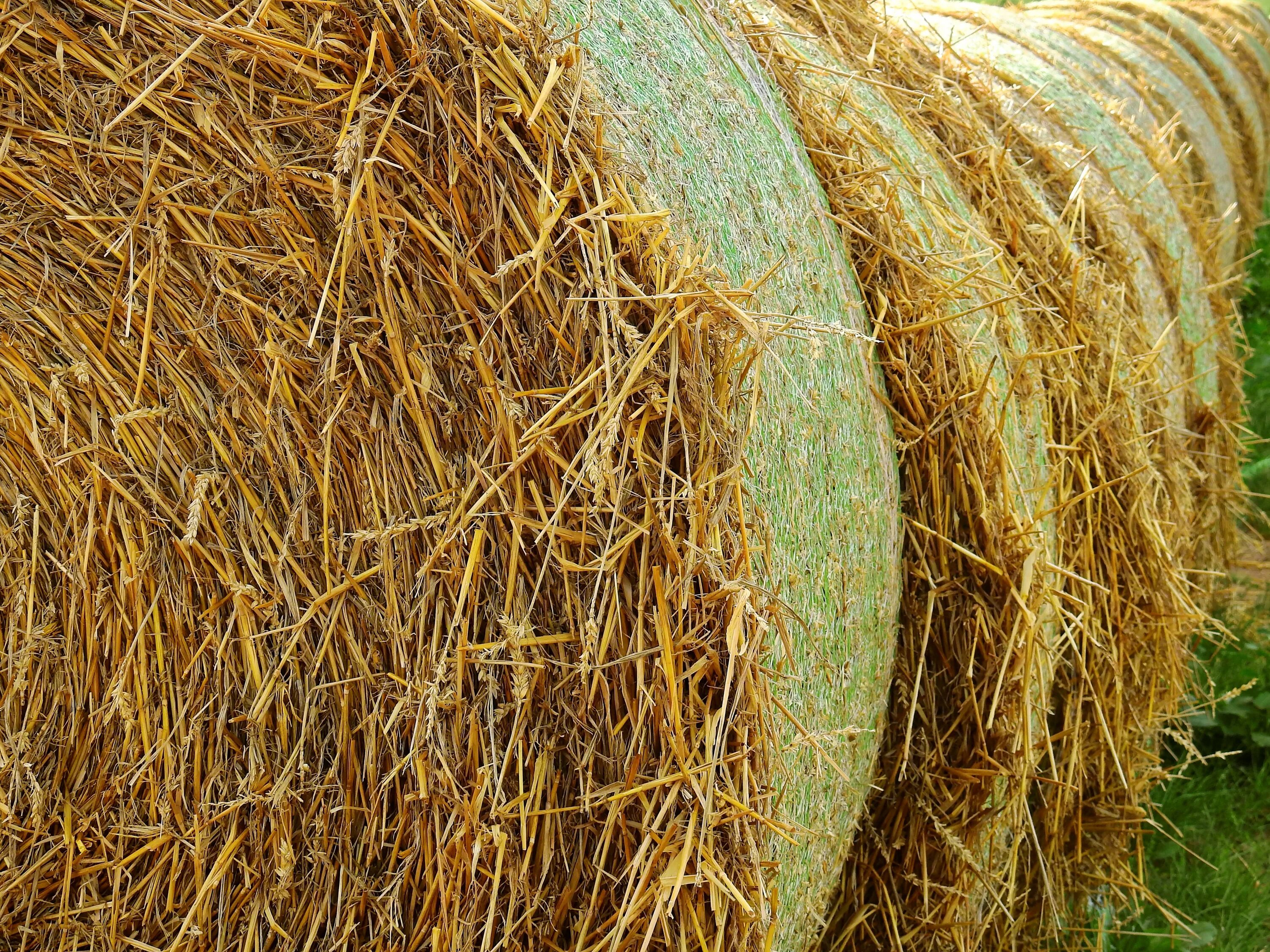 Straw