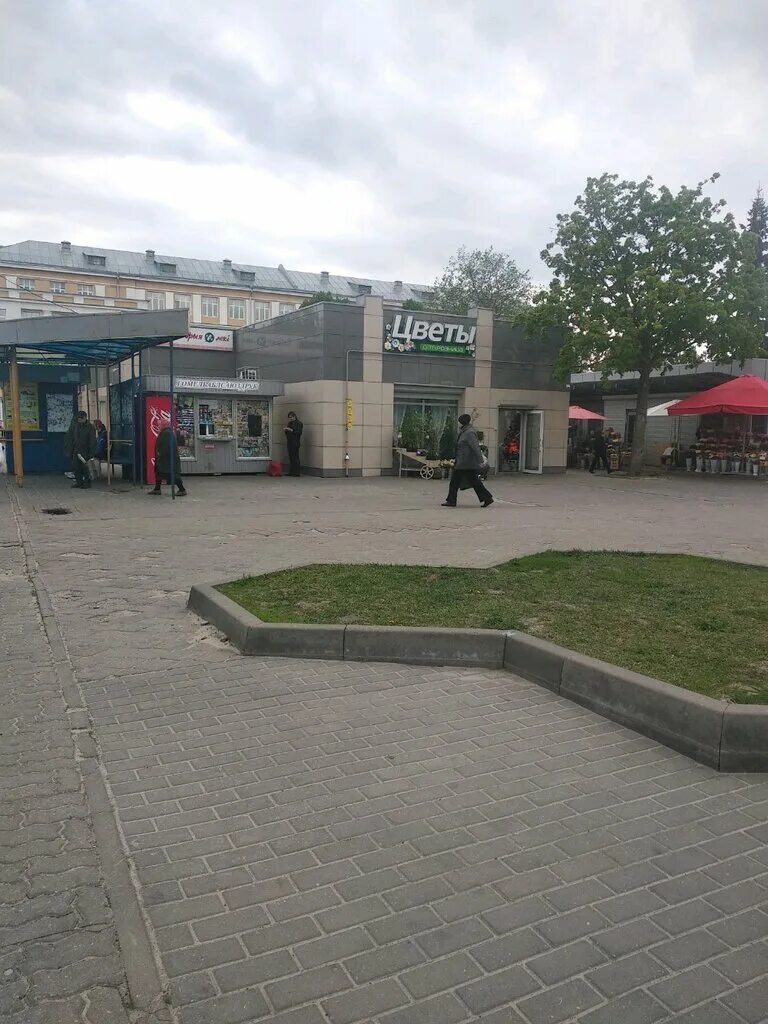 Дом цветов гомель. Гомельская 70. Дом цветов гомель. Дом цветочной моды луганск. Доставка цветов гомель.