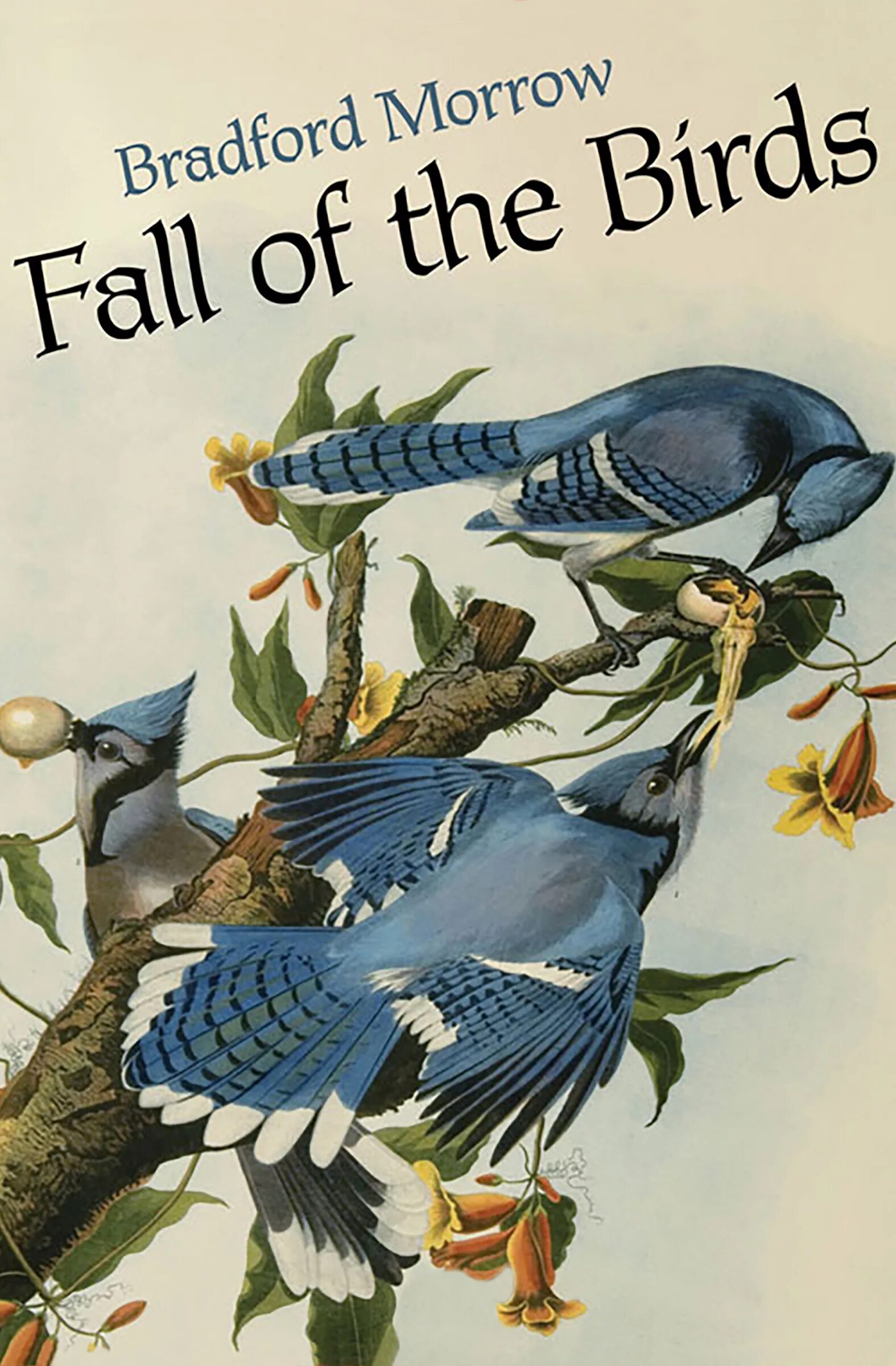 Falling bird. Bird на обложку. Барбара Морроу книги.