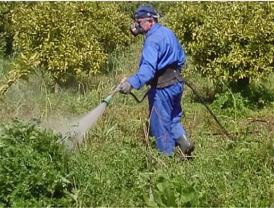 Обработка почвы гербицидами. Гербицидная обработка. Spraying fullcone. Опрыскиватель для посевов. Пестициды для борьбы с сорняками.