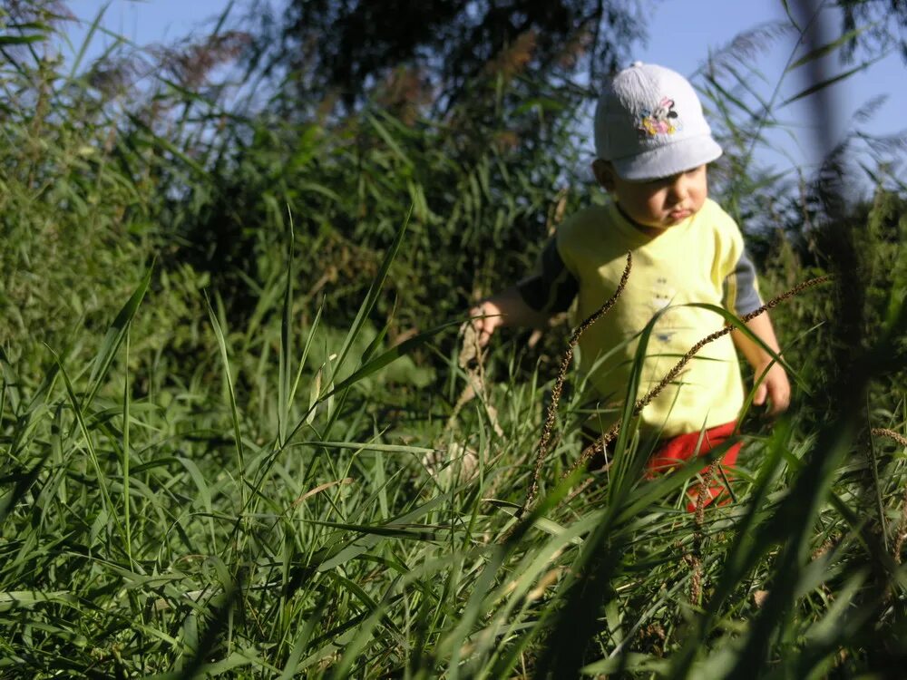 Семейный дикий пляж. Натуралисты фото. Семейные натуралисты на море. 2011. Слет юных натуралистов.