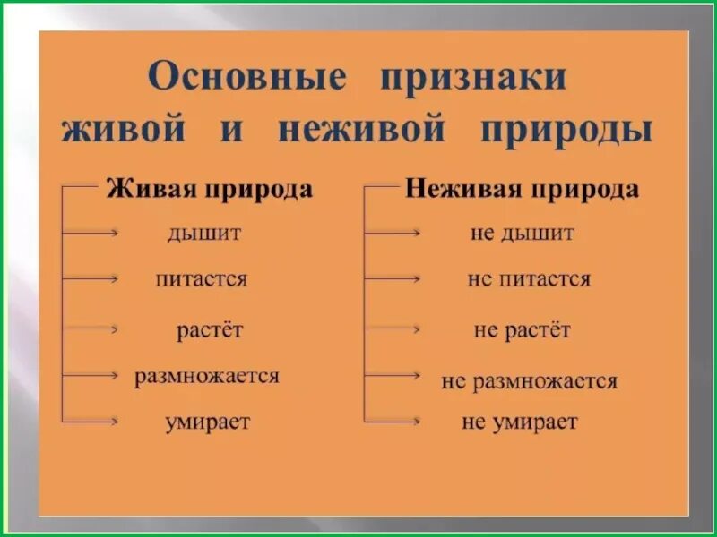 Относится ли человек к живой природе. Что относится к неживой природе 1. Что относится к неживой природе 1 класс. Что относится к неживой природе 1 класс окружающий. Чио относится к не живой природе.