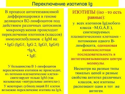 Переключение классов иммуноглобулинов