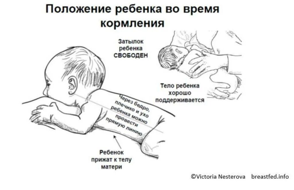 Правильное положение для кормления новорожденного. Положение матери при кормлении новорождённого. Схема грудного вскармливания новорожденного. Правильное положение ребенка при кормлении.