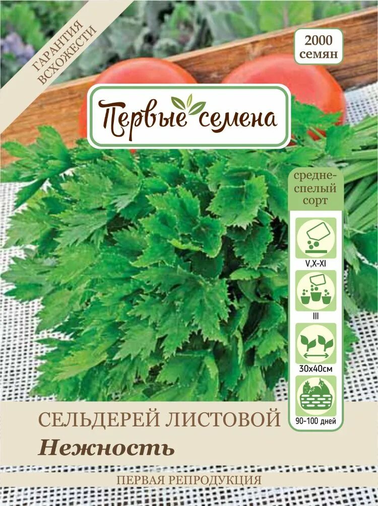 Сельдерей листовой сорта. Семена сельдерей листовой. сорта сельдерея листового. сельдерей листовой нежность. сельдерей листовой фото.